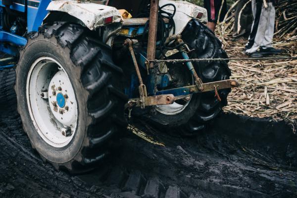 Hidden in the middle of text